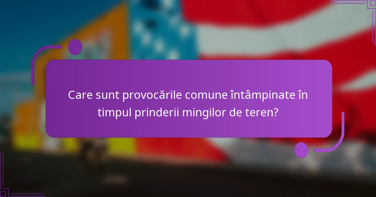 Care sunt provocările comune întâmpinate în timpul prinderii mingilor de teren?