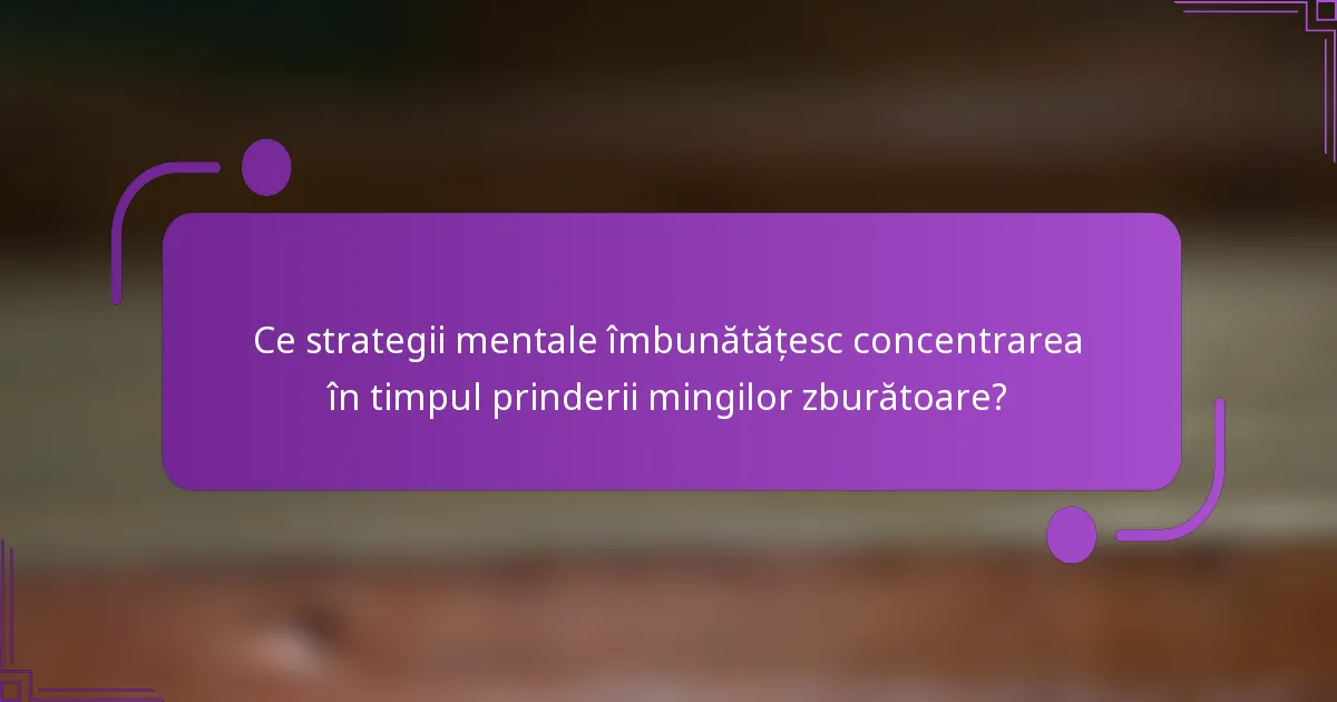 Ce strategii mentale îmbunătățesc concentrarea în timpul prinderii mingilor zburătoare?