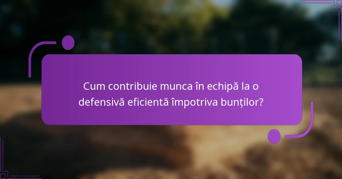 Cum contribuie munca în echipă la o defensivă eficientă împotriva bunților?