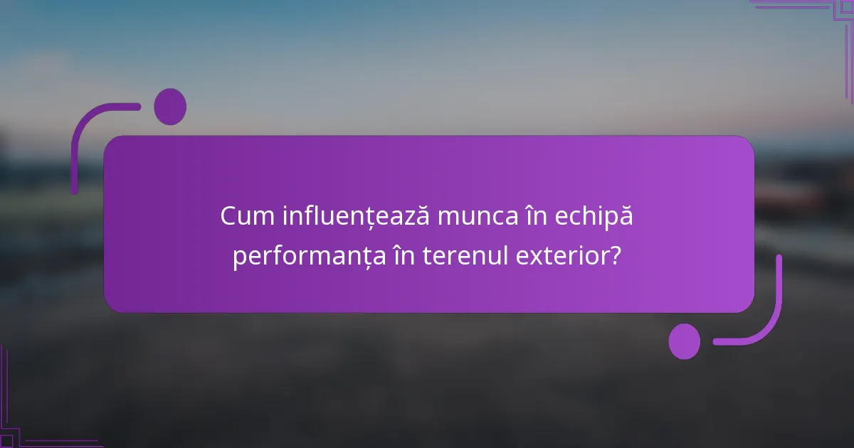 Cum influențează munca în echipă performanța în terenul exterior?