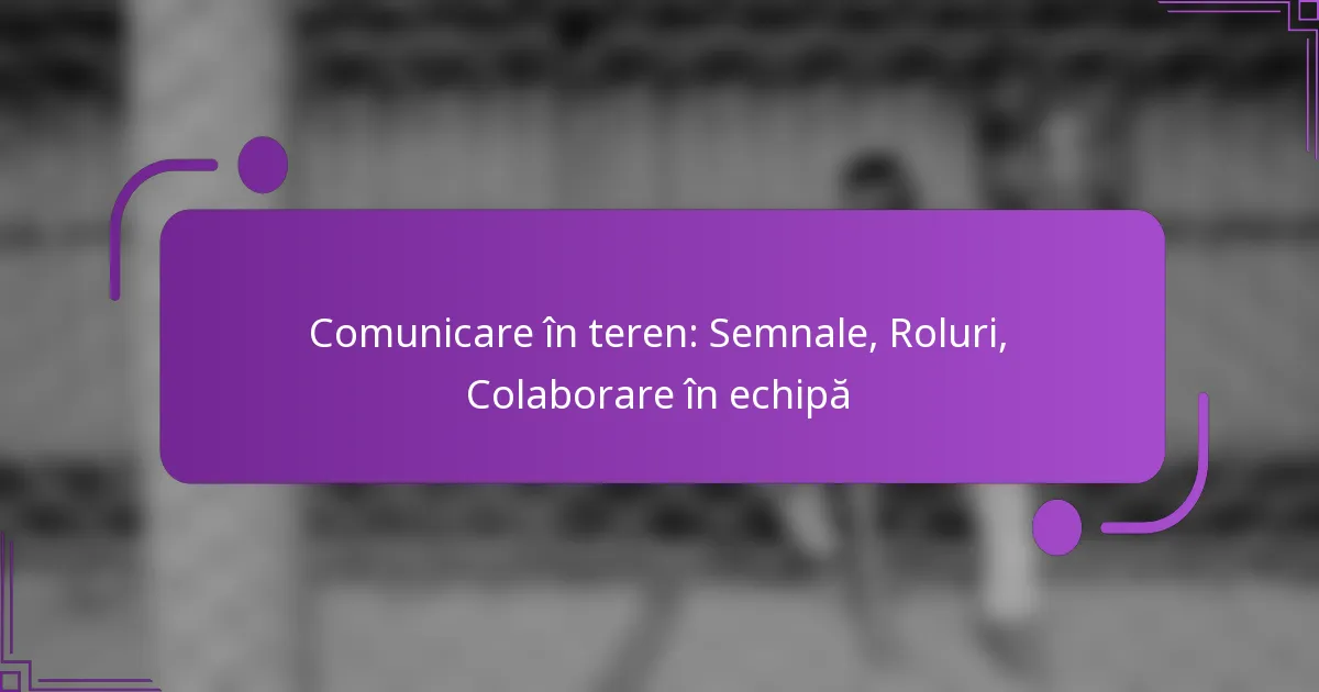 Comunicare în teren: Semnale, Roluri, Colaborare în echipă