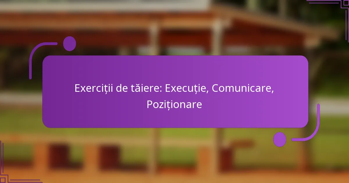 Exerciții de tăiere: Execuție, Comunicare, Poziționare